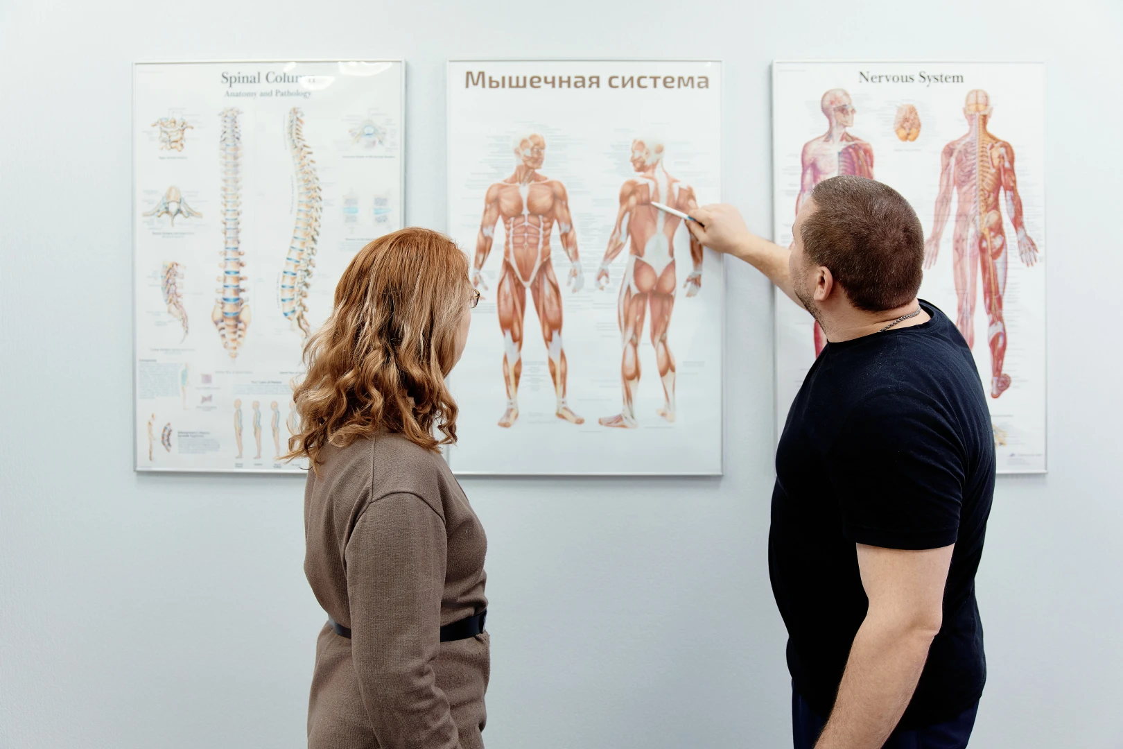 Специалист указывает ручкой на анатомический плакат «Мышечная система» и объясняет пациентке строение мышц